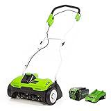 Greenworks 13 Amp 14 inch Corded Dethatcher / Scarifier, Dt13b00