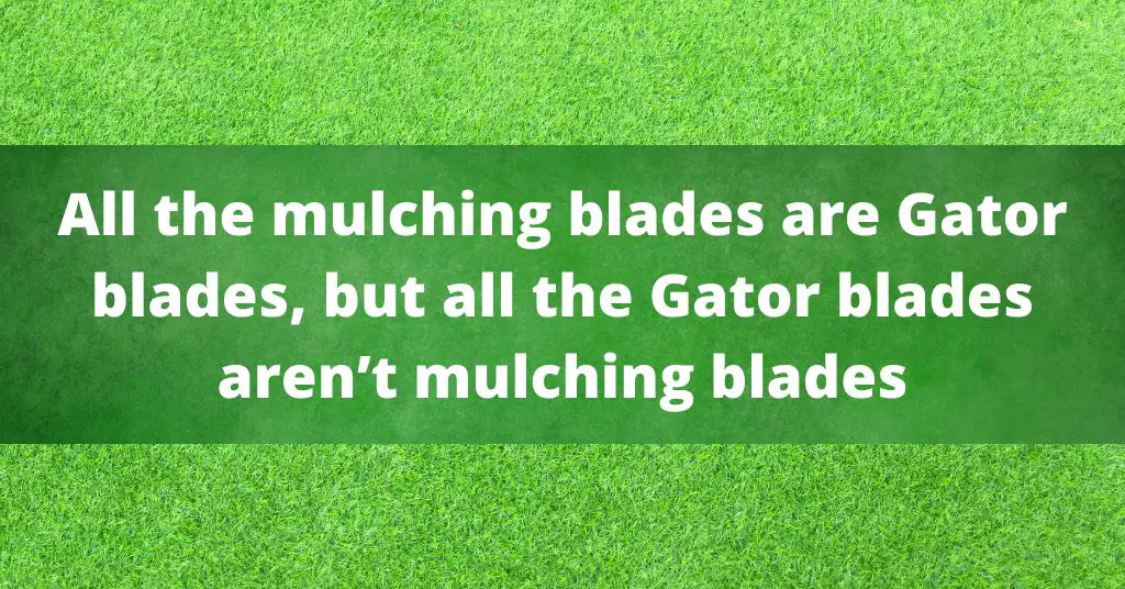Gator Blades vs Mulching Blades