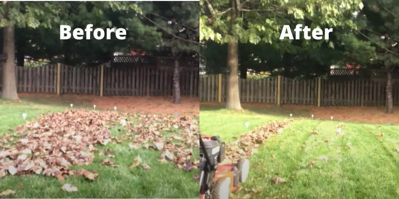 mulching leaves with right mower height