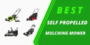 Best Self Propelled Mulching Lawn Mower