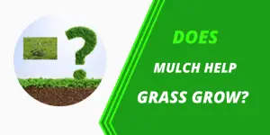 Does mulch help grass grow
