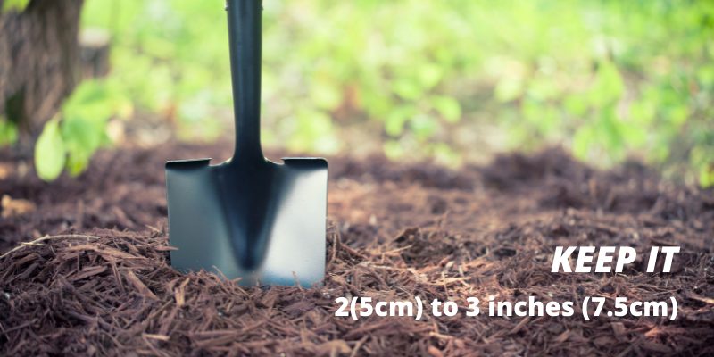 MULCH THICKNESS/DEPTH TO PREVENT WEEDS FROM GROWING