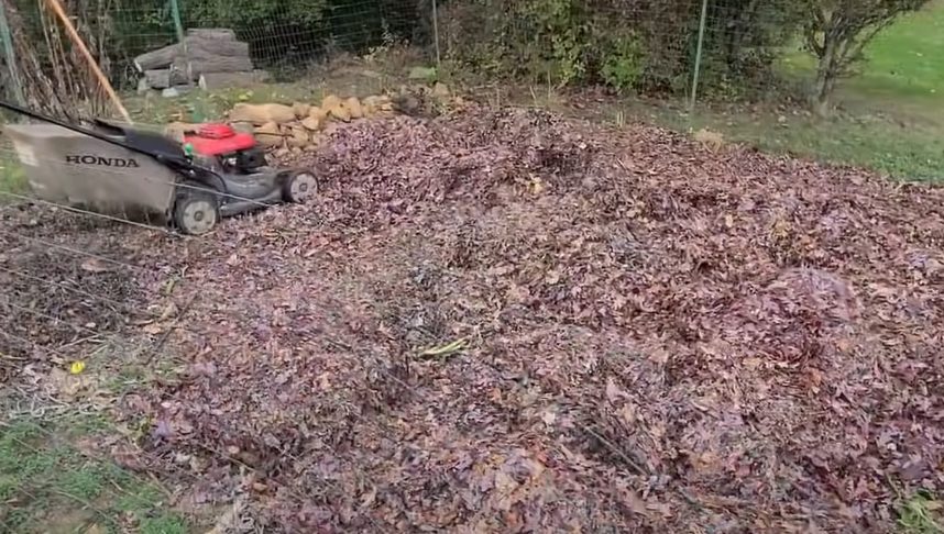 Leaf Mulch and Grass Clippings