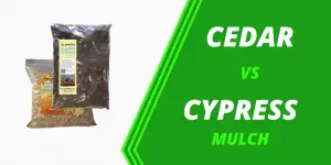 Cedar Mulch vs Cypress Mulch